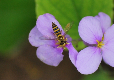 f:id:shinsyu7:20110921154433j:image:w640