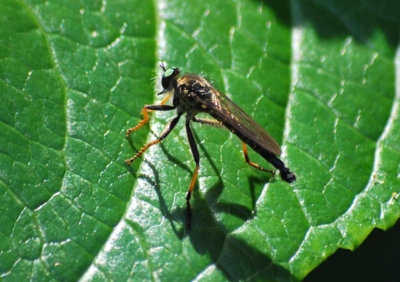 f:id:shinsyu7:20110921154551j:image:w640