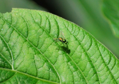 f:id:shinsyu7:20110921155601j:image:w640