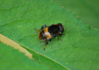 f:id:shinsyu7:20110921155650j:image:w640