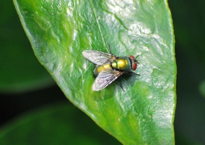 f:id:shinsyu7:20110921155906j:image:w640