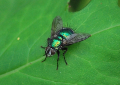 f:id:shinsyu7:20110921155908j:image:w640