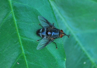 f:id:shinsyu7:20110921155954j:image:w640