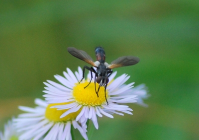 f:id:shinsyu7:20110921160901j:image:w640