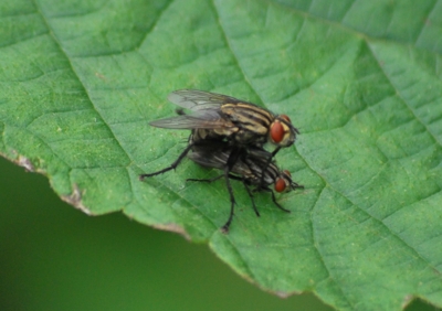 f:id:shinsyu7:20110921160944j:image:w640