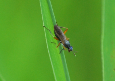 f:id:shinsyu7:20110921161039j:image:w640