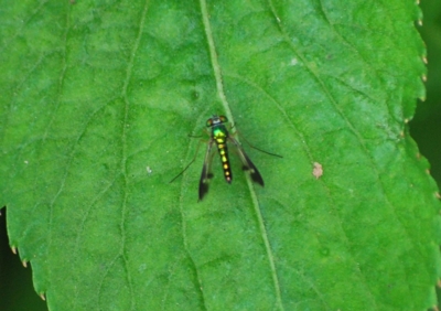 f:id:shinsyu7:20110921161312j:image:w640