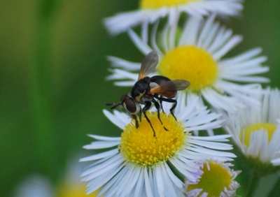 f:id:shinsyu7:20110921161408j:image:w640