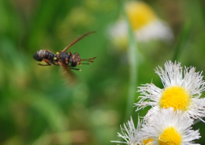 f:id:shinsyu7:20110921161440j:image:w640