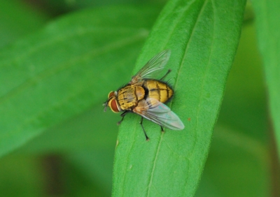 f:id:shinsyu7:20110921161613j:image:w640