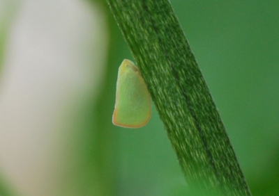 f:id:shinsyu7:20110921163007j:image:w640