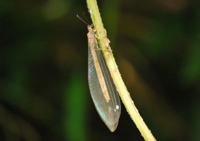 f:id:shinsyu7:20110921163057j:image:w640