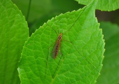 f:id:shinsyu7:20110921163201j:image:w640