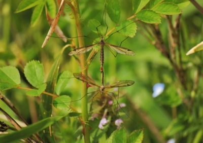 f:id:shinsyu7:20110921163310j:image:w640