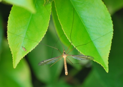 f:id:shinsyu7:20110921163315j:image:w640