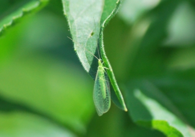 f:id:shinsyu7:20110921163530j:image:w640