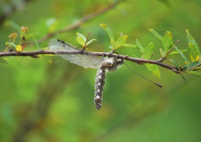 f:id:shinsyu7:20110921163627j:image:w640