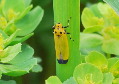 f:id:shinsyu7:20110921163726j:image:w640