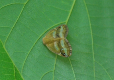 f:id:shinsyu7:20110921163945j:image:w640