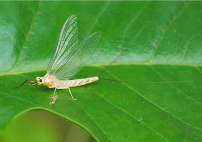 f:id:shinsyu7:20110921164435j:image:w640