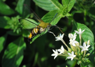 f:id:shinsyu7:20110924160223j:image:w640