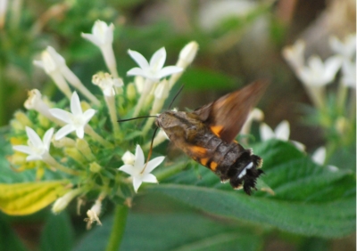 f:id:shinsyu7:20110924161312j:image:w640