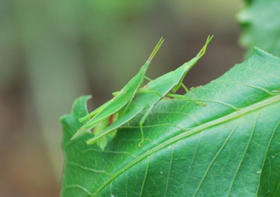 f:id:shinsyu7:20110924170220j:image:w640