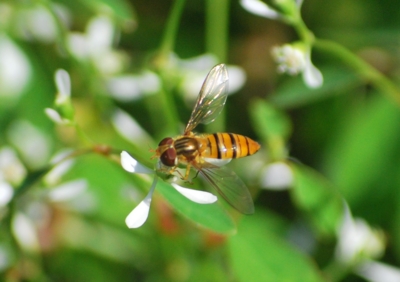 f:id:shinsyu7:20110924171507j:image:w640