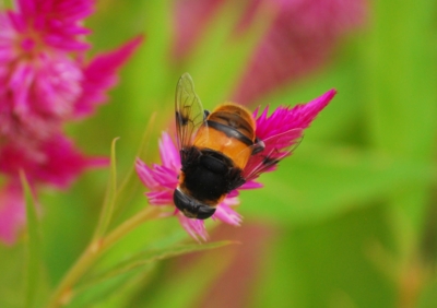 f:id:shinsyu7:20110925093914j:image:w640