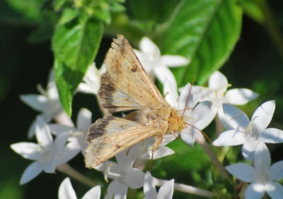 f:id:shinsyu7:20111006092443j:image:w640