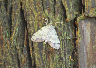 f:id:shinsyu7:20111009084455j:image:w640