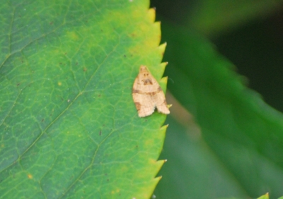 f:id:shinsyu7:20111021155945j:image:w640