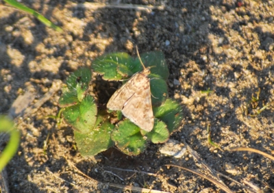 f:id:shinsyu7:20111029111202j:image:w640