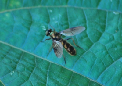 f:id:shinsyu7:20111029111520j:image:w640