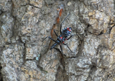 f:id:shinsyu7:20111101102541j:image:w640