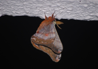 f:id:shinsyu7:20111105125036j:image:w640