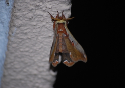 f:id:shinsyu7:20111105125049j:image:w640