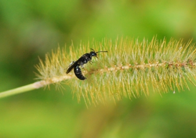 f:id:shinsyu7:20111105130007j:image:w640