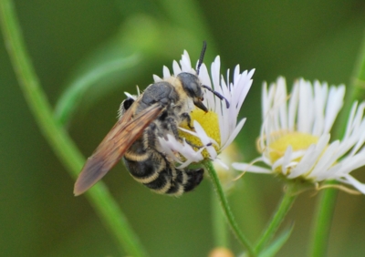 f:id:shinsyu7:20111105163535j:image:w640