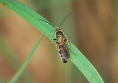 f:id:shinsyu7:20111105163538j:image:w640