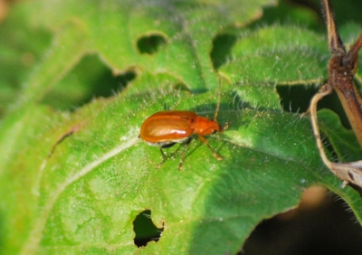 f:id:shinsyu7:20111206120537j:image:w640