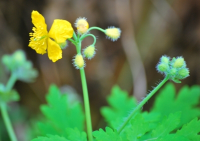 f:id:shinsyu7:20120503095552j:image:w640