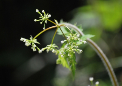 f:id:shinsyu7:20120503095938j:image:w640