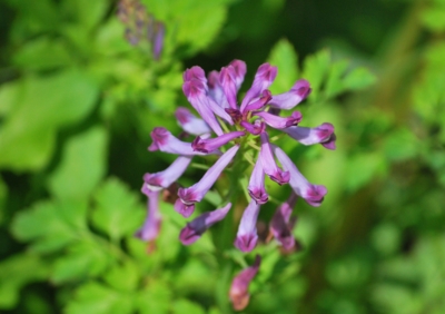 f:id:shinsyu7:20120503100140j:image:w640