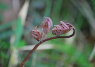 f:id:shinsyu7:20120503100216j:image:w640