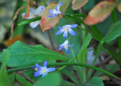 f:id:shinsyu7:20120503100438j:image:w640