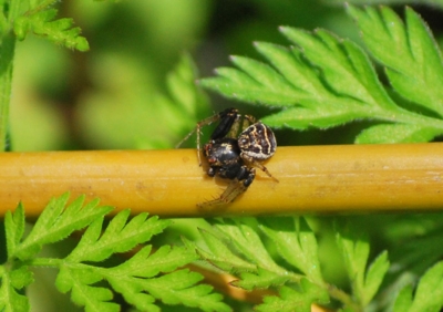 f:id:shinsyu7:20120503100643j:image:w640