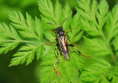 f:id:shinsyu7:20120503101012j:image:w640