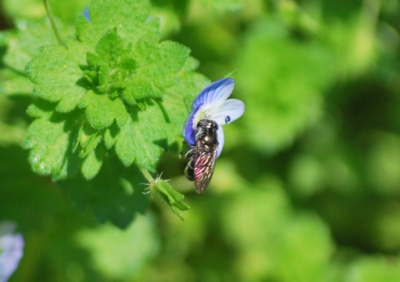 f:id:shinsyu7:20120503101056j:image:w640