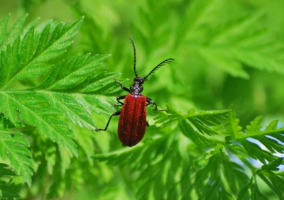 f:id:shinsyu7:20120503101103j:image:w640